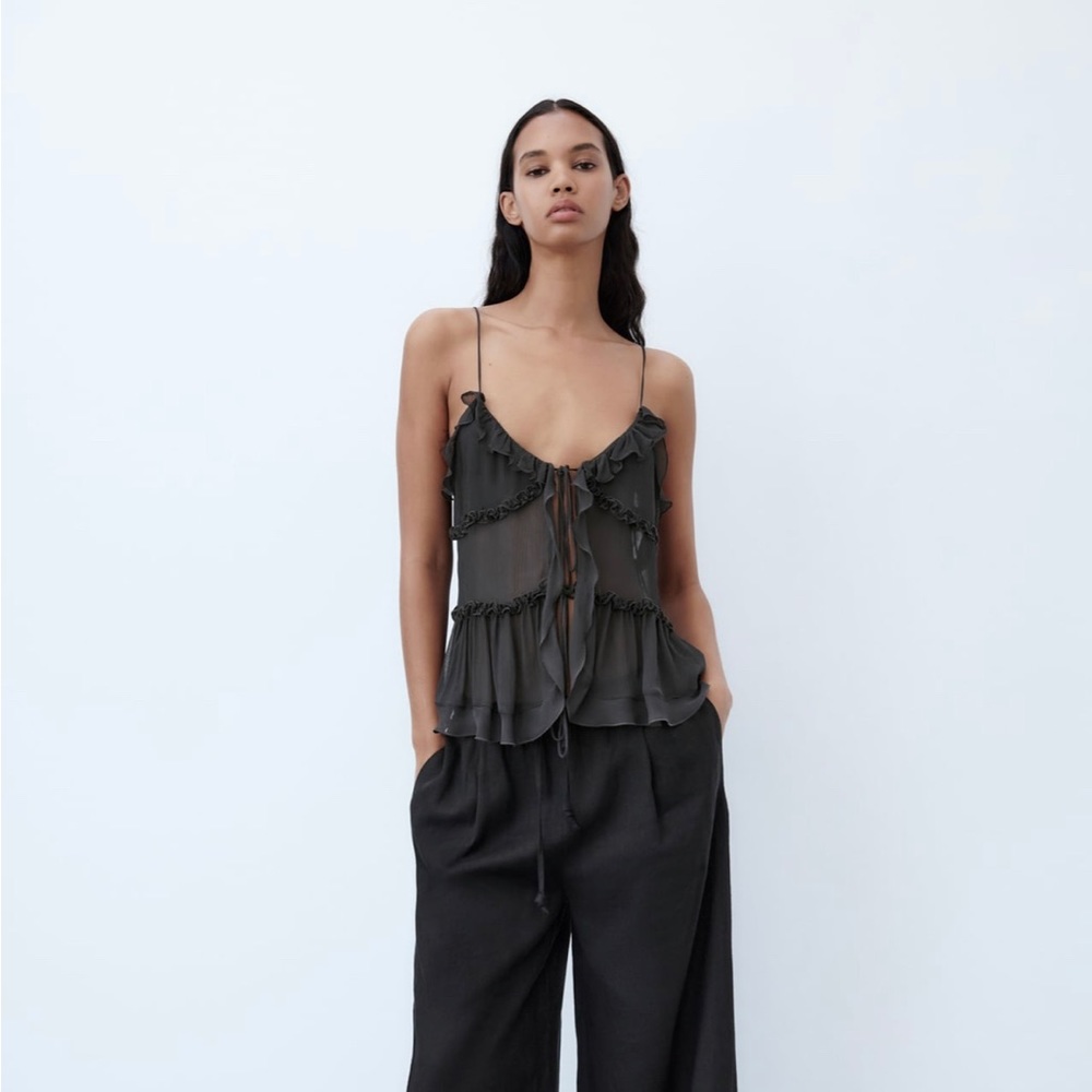Zara Semi-Sheer Ruffled Top